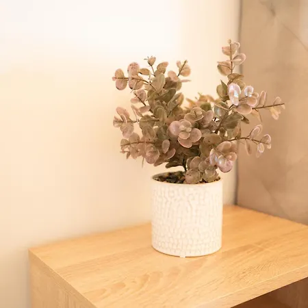 Rose & Dennis Luxury Νικιάνα