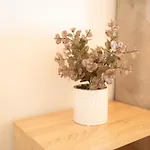 Rose & Dennis Luxury Νικιάνα